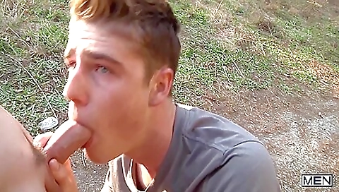 Tra certain anallynome