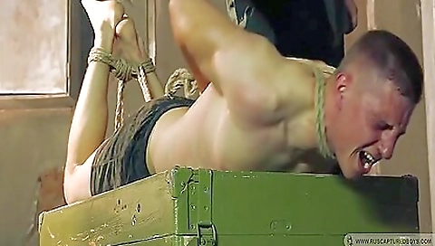 Sexy dark brown drilled on a hottie