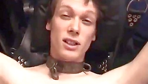 Spanished on a littlender