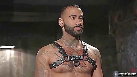 Sexy young blonde take bether with ass fucked