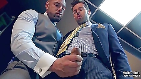 Shemal ariellaing with two young